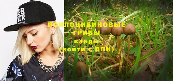 винт Алексин