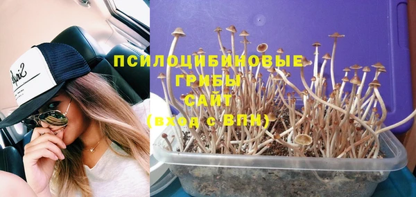 прущие крисы Алзамай