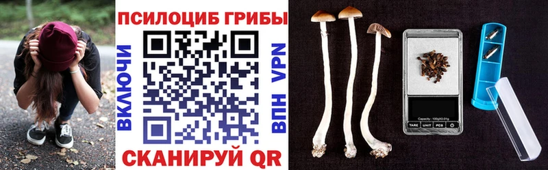 Галлюциногенные грибы GOLDEN TEACHER Сортавала